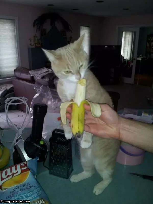 Ooooohhh A Banana