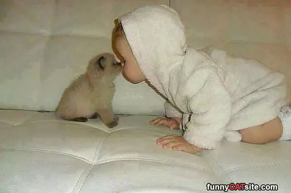 Cute Little Kiss