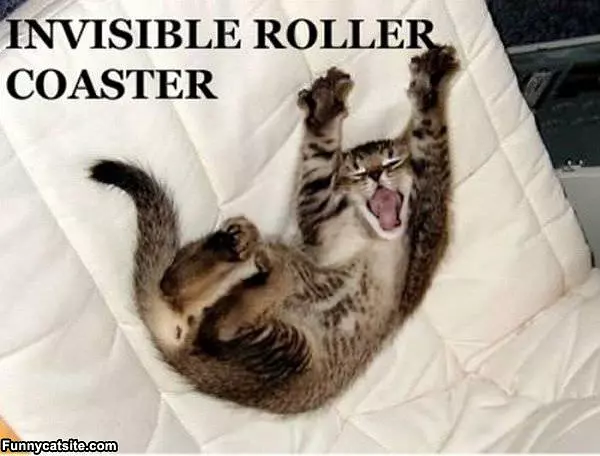 Invisible Roller Coaster