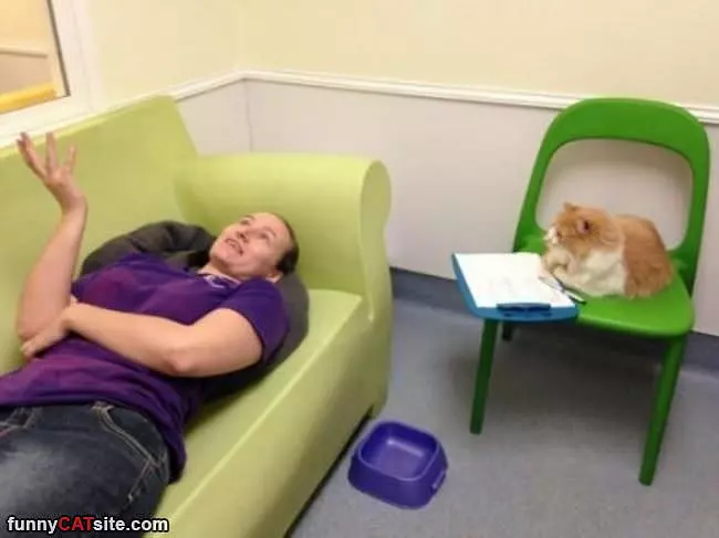 Therapy Cat