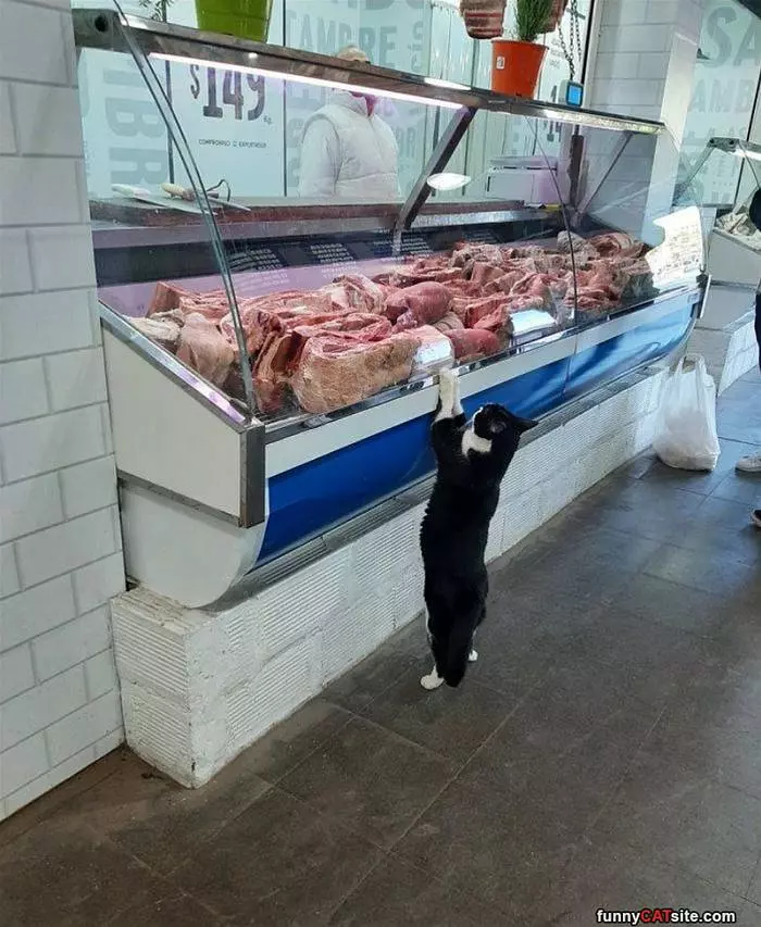 I Want Some Meats