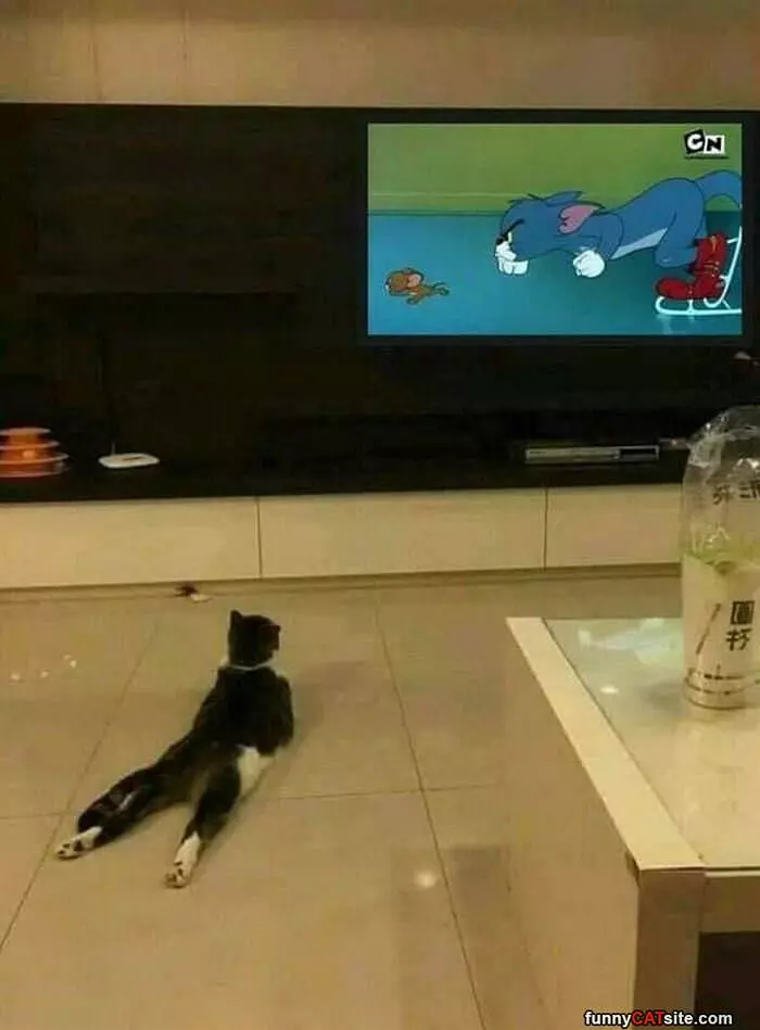 Watching Some Tom And Jerry