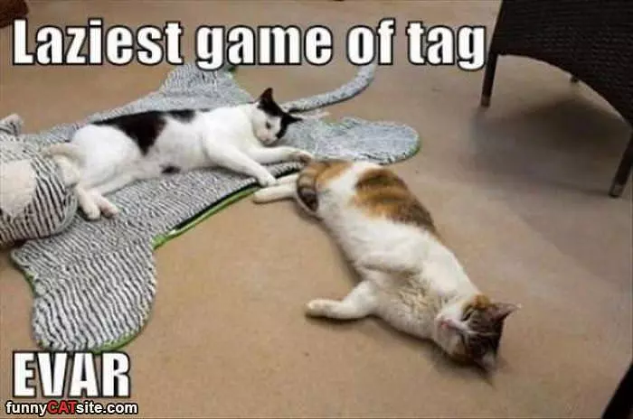 Lazy Game Of Tag