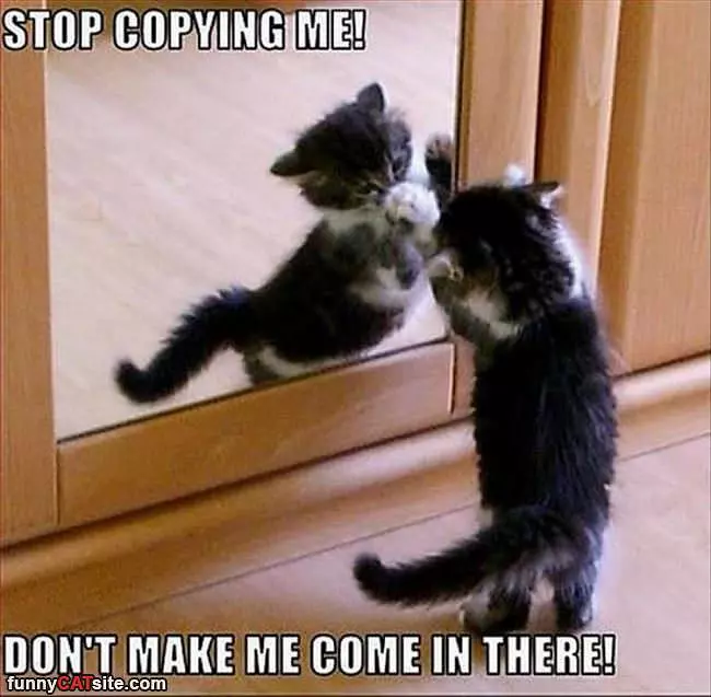 Stop Copying Me