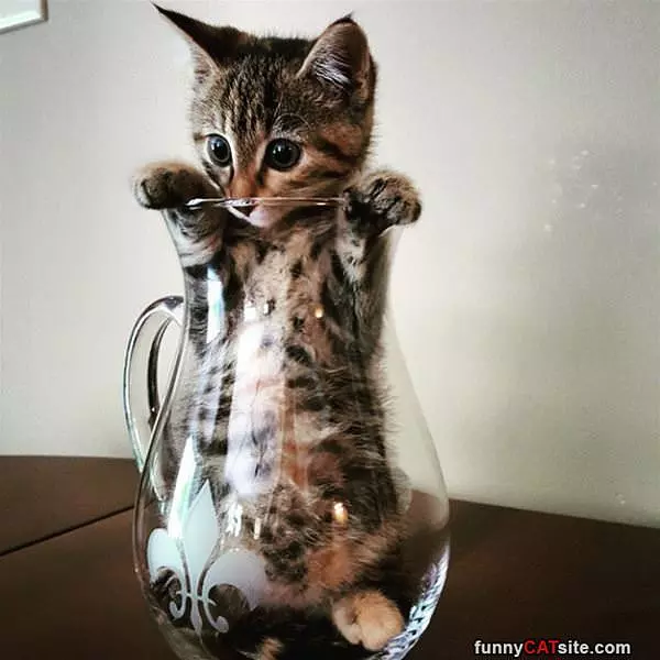 In A Glass Jar
