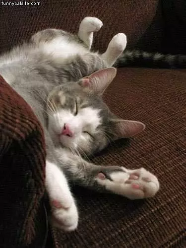 Odd Sleeping Position