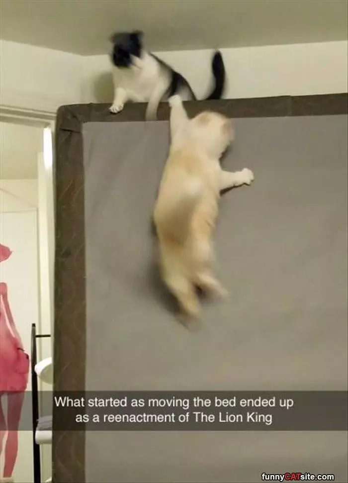 Started By Moving The Bed