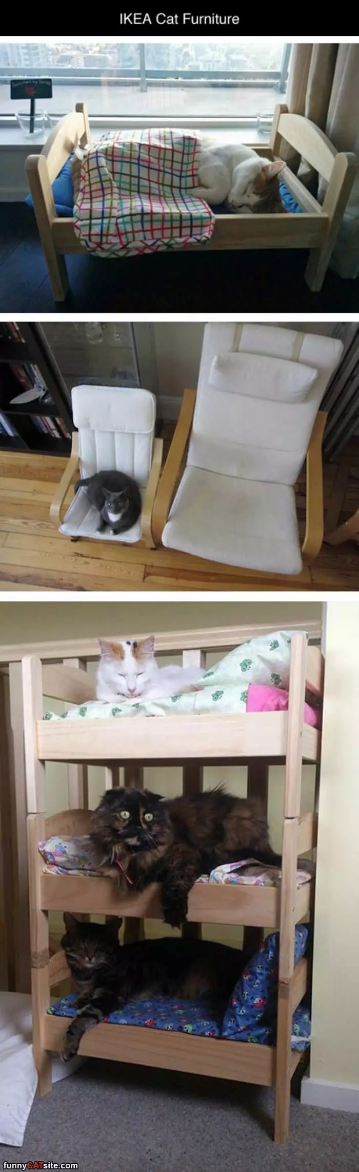 Ikea Cat Furniture