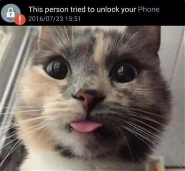 This Person Unlocked Your Phone