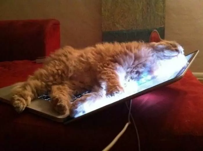 Chilling Out With The Laptop