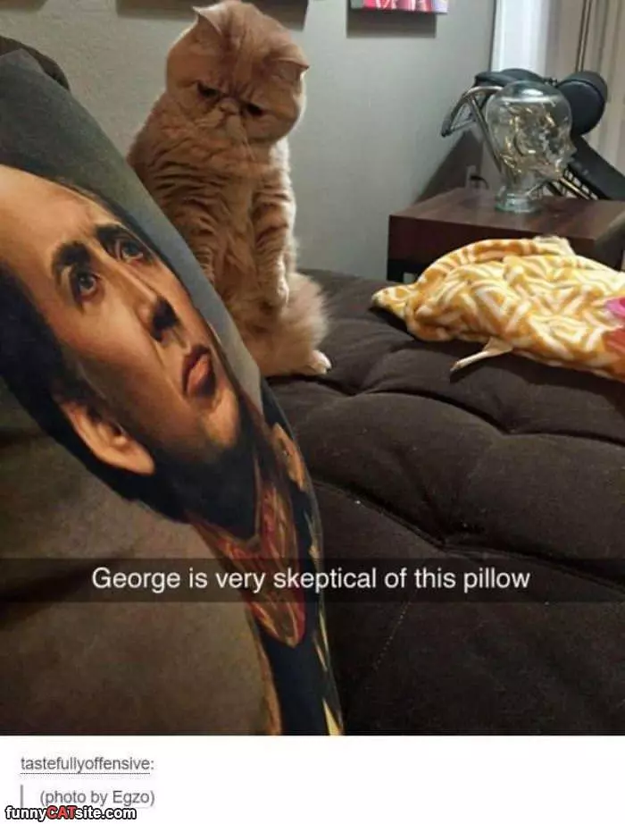 George Is Not Sure