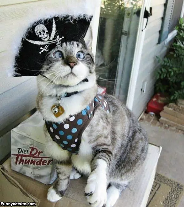 The Mad Pirate