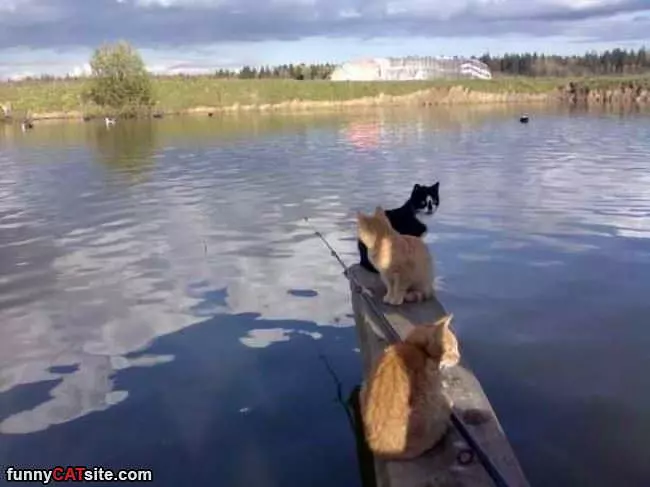 Out For Some Fishing