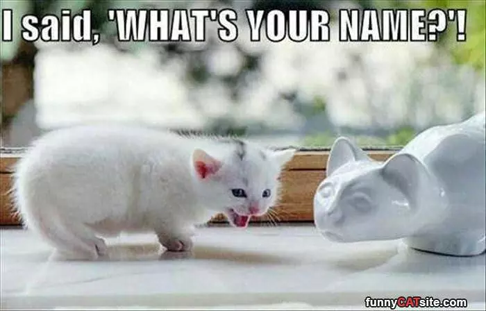 Whats Your Name