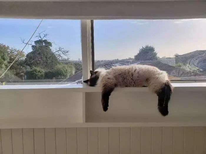 Nice Place For A Nap