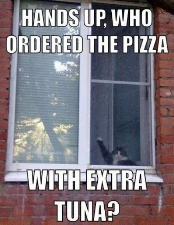 Pizza With Extra Tuna