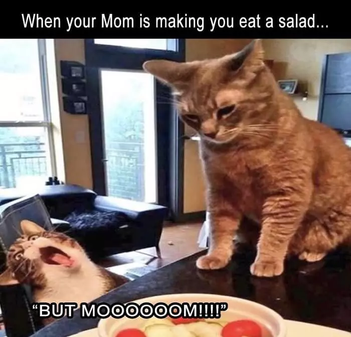 Mom Is Making You Eat Salad