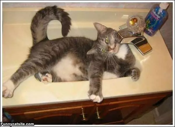 I Love The Sink
