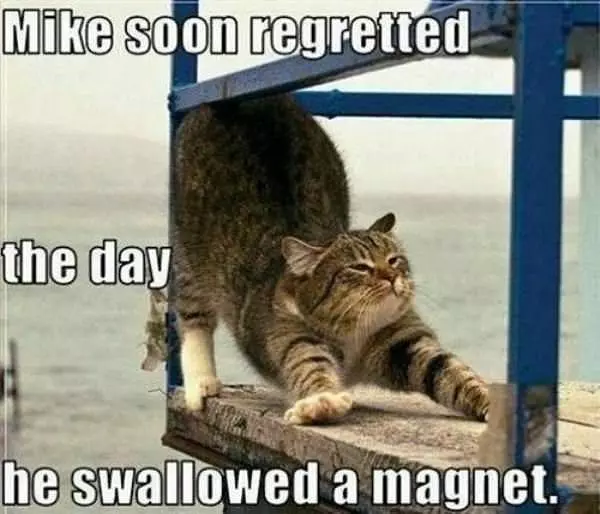 Swallowed A Magnet
