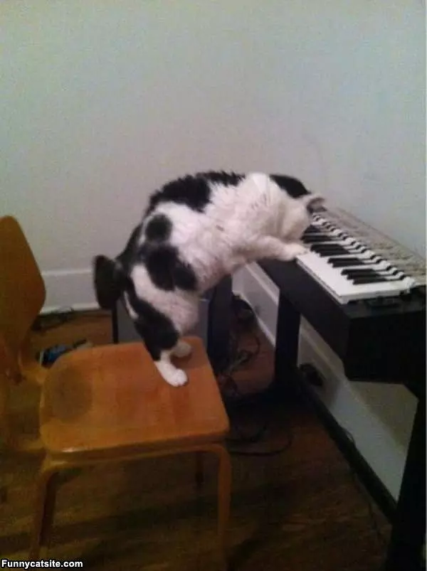 Playing Some Piano