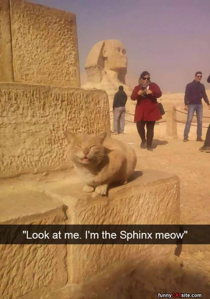 Im The Sphinx Meow
