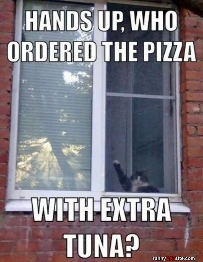Who Ordered The Pizza