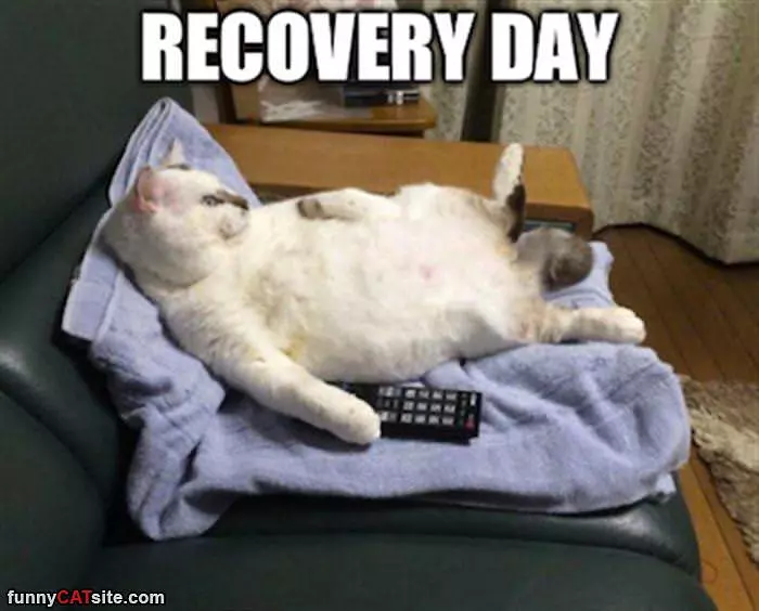 Recovery Day