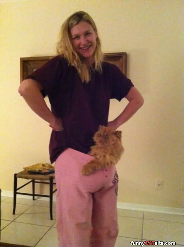 Is That A Cat In Your Pants