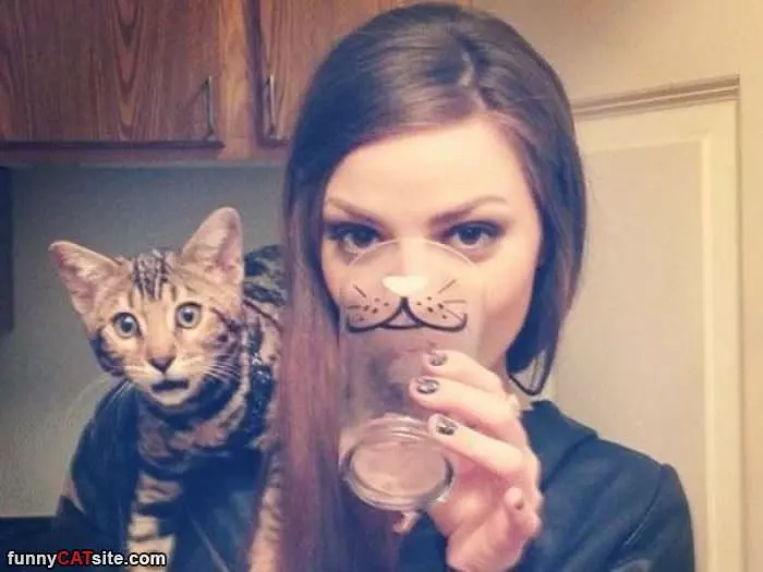 Is That A Cat Cup