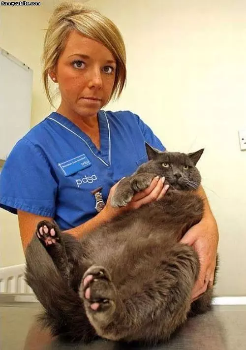 Thats A Really Fat Cat