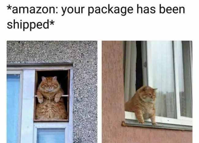 Your Package Has Been Shipped