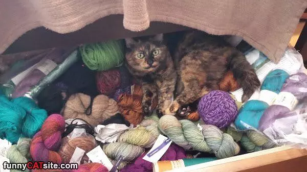 All This Yarn