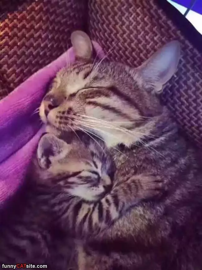 Hugging It Out With Momma