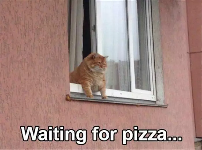 Waiting For Pizza