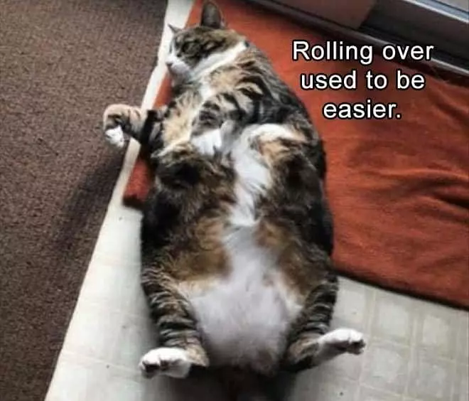 Rolling Used To Be Easier