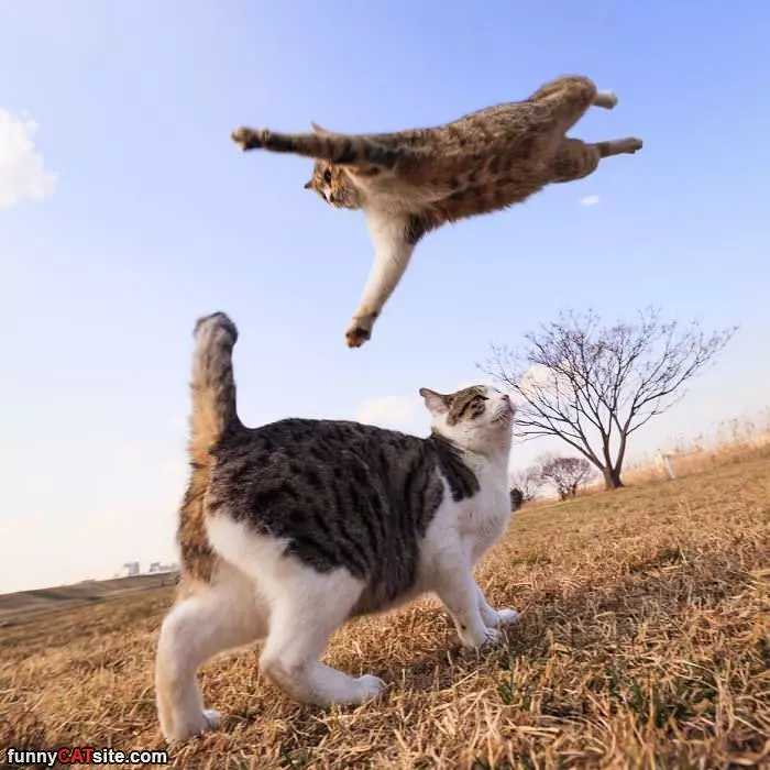 A Jump Attack