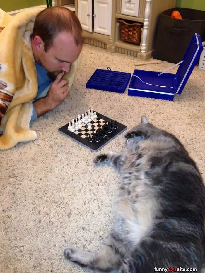 A Chess Match