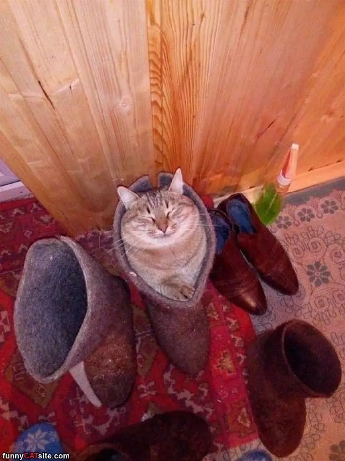 My Boot Is Nice