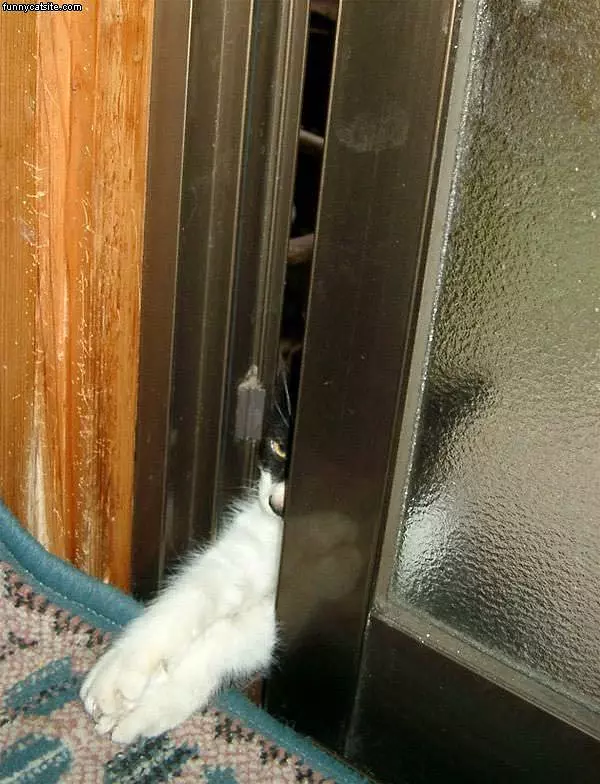 He Wants Out