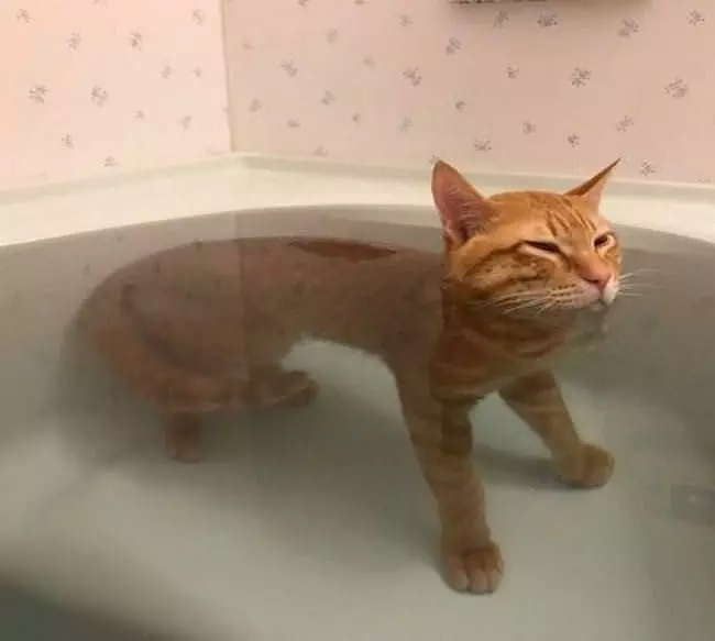 Just Relaxing In The Bath