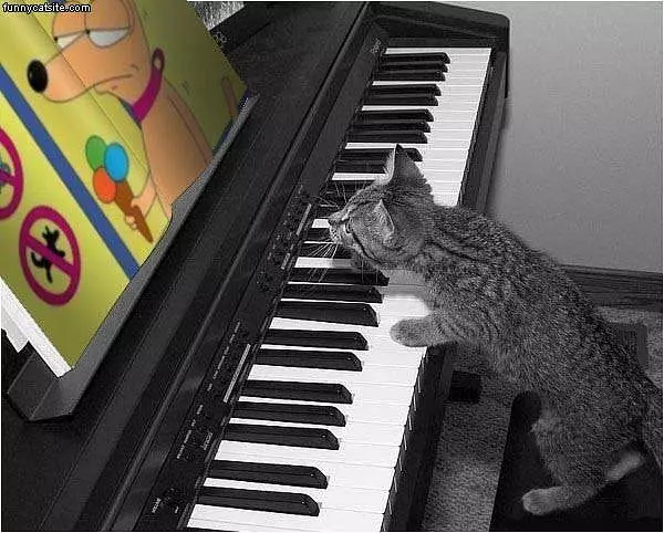 Teach Me Piano