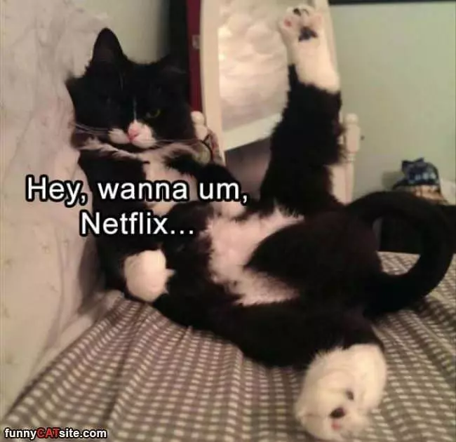 Some Netflix Time