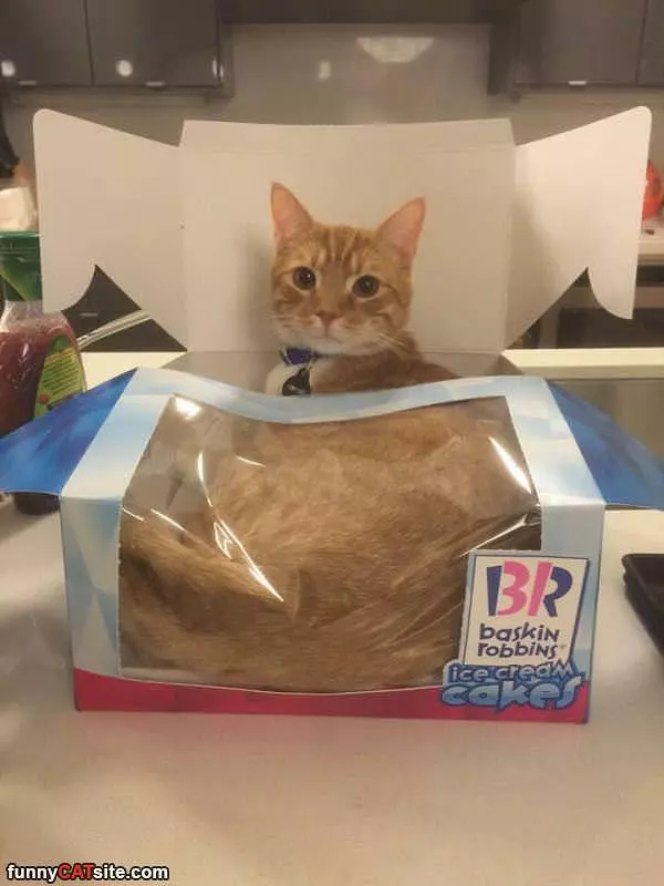 This Box Is Mine Now