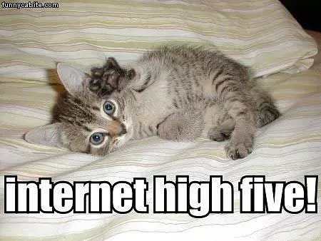 Internet High 5