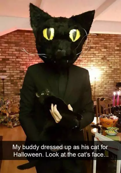 Dressed Up As A Cat