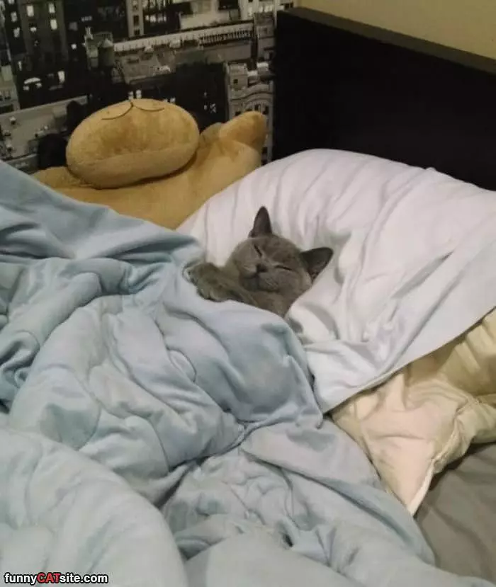 All Tucked In
