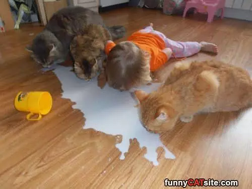 Sharing Some Milk