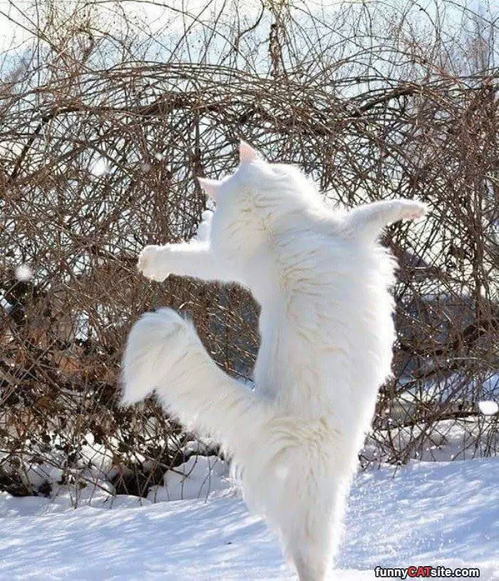 Fluffy White Jumper