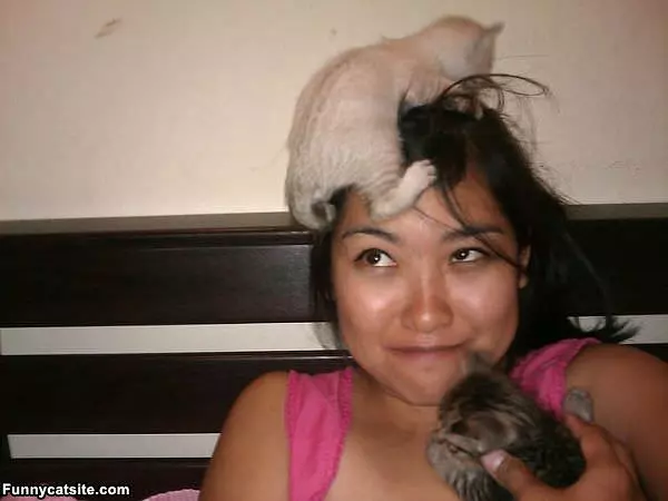 Kitten Hats