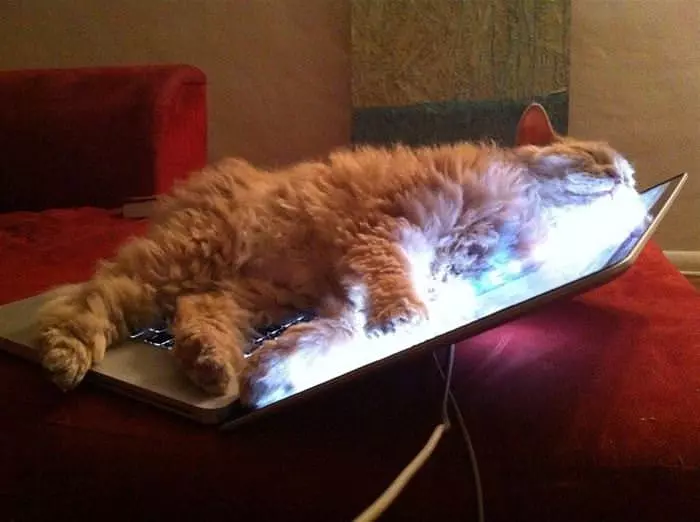 This Laptop Is Warm